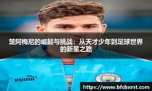 28圈平台注册